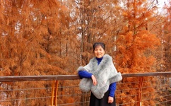 日本无吗无卡v二区